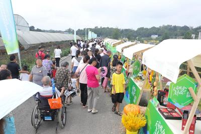 四大主題活動慶豐收，2021年天府新區農民豐收節圓滿舉辦