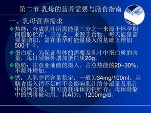 餐飲管理的核心基石 烹飪與膳食管理基礎